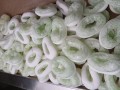 20241030_084651.jpg